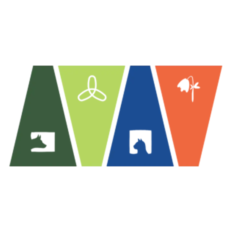 NETA